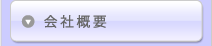 ЊTv