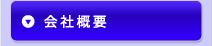 ЊTv